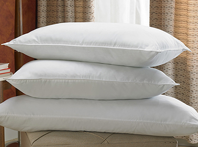 Fourth Prize - Two Feather & Down Pillows